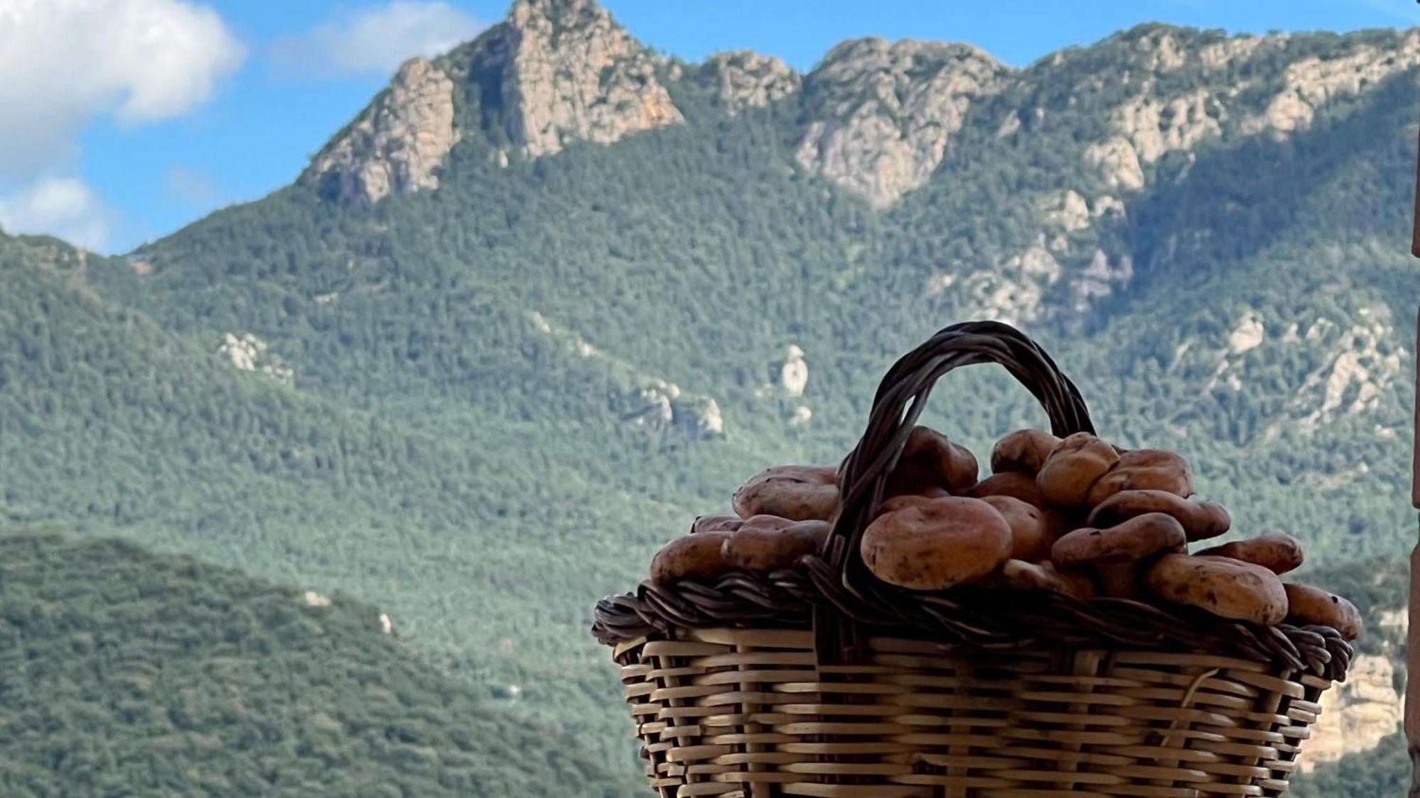 Apartament Acollidor Al Bergueda 6P Sant Jordi de Cercs Esterno foto